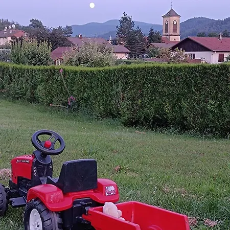 Au Coeur Des Vosges, Vieille Ferme Accueillante Tatil Evi